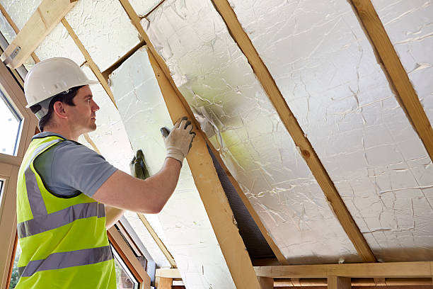 Best Garage Insulation Installation  in USA